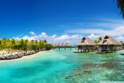 10 лучших курортов в Бора-Бора на Tripadvisor - Отзывы и цены на лучшие  курорты в Бора-Бора, Французская Полинезия