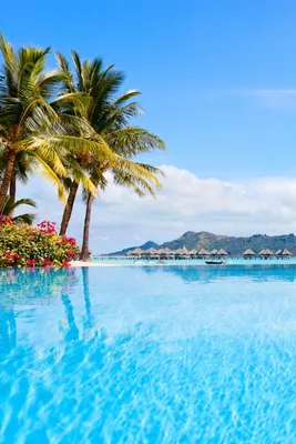 15 Photos to Inspire You to Visit Bora Bora | Wallpaper iphone summer,  Desktop wallpaper summer, Summer iphone