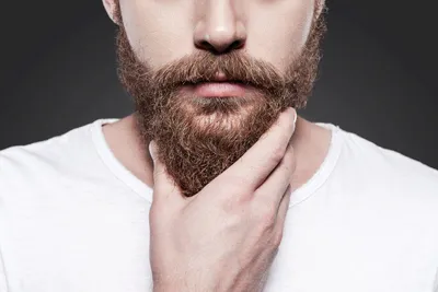 Ученые узнали, зачем мужчины растят бороды