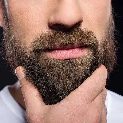Эксперты рассказали, почему мужчины продолжают отращивать бороду - РИА  Новости, 03.09.2022
