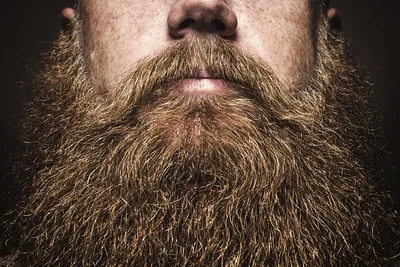 Что будет если мусульманин сбреет бороду ? Борода не всегда была так важна.  | Ислам Наизнанку | Дзен
