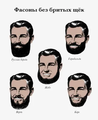 5 шагов на пути к идеальной бороде | Статьи