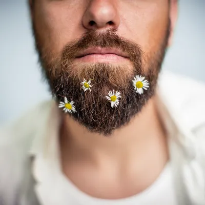 Равнение на Бороду: итоги бородатого конкурса
