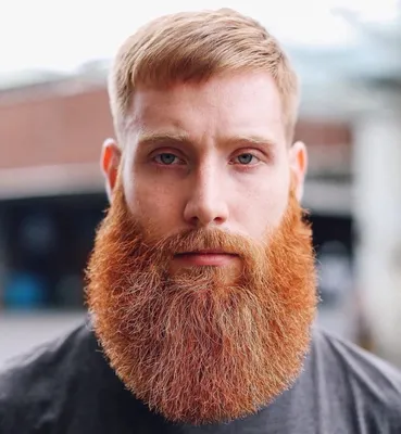 Какой длины должна быть борода? | Будьте стильными! | Дзен