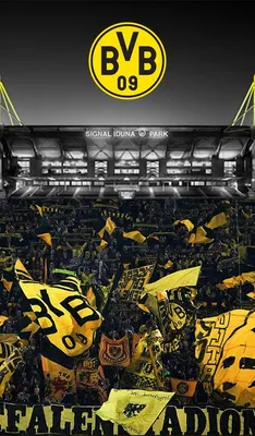 510 Best Borussia Dortmund ideas | football, dortmund, soccer