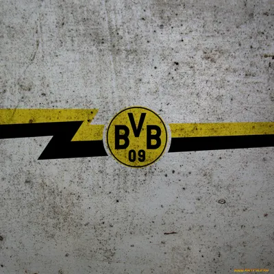 Скачать обои футбол, логотип, клуб, эмблема, Borussia Dortmund, Боруссия  Дортмунд, раздел спорт в разрешении 640x960