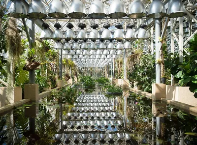 Ботанический сад города Астана