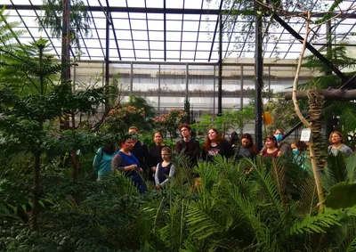 Ботанический сад в столице: экзотические растения, детские экскурсии,  фотосессии | Места на WEproject