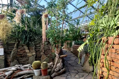 Оранжереи Ботанического сада временно закрылись из-за жары