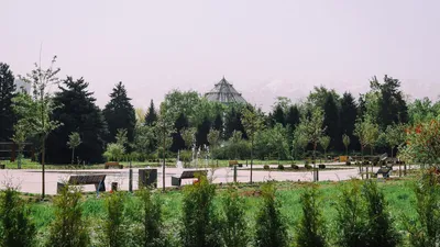 Ботанический сад в Минске. Схема проезда, фото, отзывы