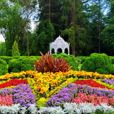 Что посмотреть в Ботаническом саду? | Апарт-отель «Ханой-Москва»