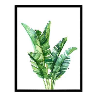 Rare Plant Market | Botanika Hamm | Plant with Roos - YouTube