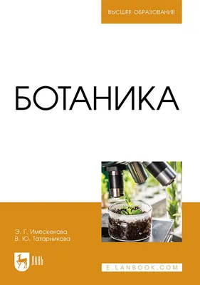 Cafe Botanika, St Petersburg - A vegetarian restaurant