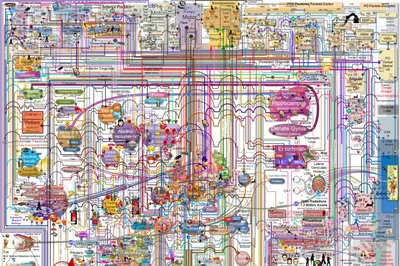 Брайн Мапс (Brain Maps) — биография, личная жизнь, фото, новости, MC  Кисуля, ютьюб-канал 2024 - 24СМИ