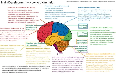 New Brain Map a Milestone in Understanding Mental Health Issues -  Elevations RTC
