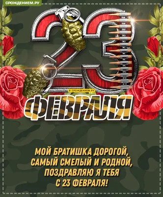 Открытка Брату с 23 февраля, с поздравлением • Аудио от Путина, голосовые,  музыкальные