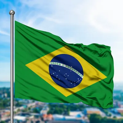 Бразилия | Купить настольную игру в магазинах Hobby Games