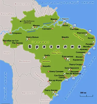 Бразилия: Лула предоставил земли коренным народам | Euronews