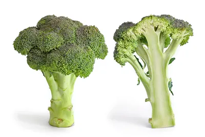 Roasted Broccoli with Smashed Garlic - Skinnytaste