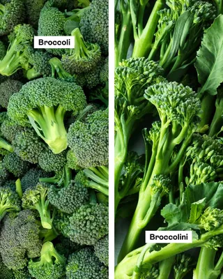Calabrese Green Sprouting Broccoli Seeds | Baker Creek Seeds