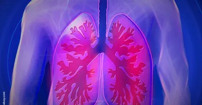 НАЗДОРОВЬЕ: бронхиальная астма - Новый Век