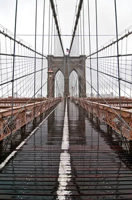 Бруклинский Мост - Фотообои на стену по Вашим размерам в интернет магазине  arte.ru. Заказать обои Бруклинский Мост - (12231)