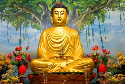 Будда в медитации, статуэтка из дерева суар, высота 30см