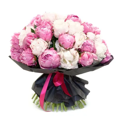 Букет пионов – цветы с доставкой в Брянске | Iris32