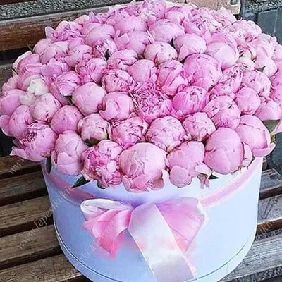 Букет из 3 розовых пионов - купить в Москве по цене 3090 р - Magic Flower
