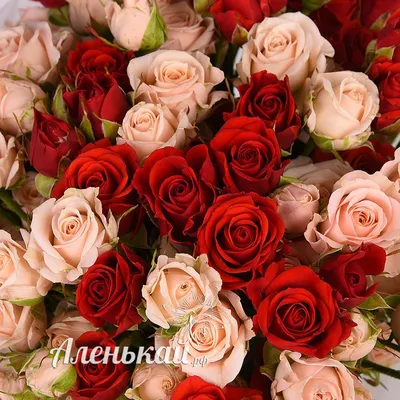 Букет из 51 розы «Для моей любимой»