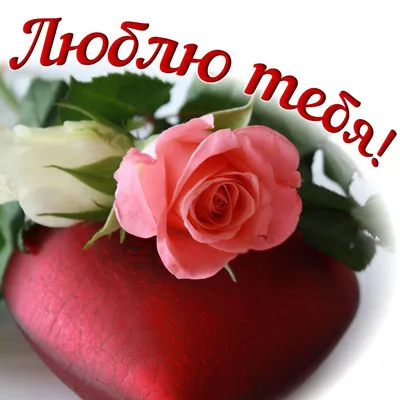 Букет Любимой женщине доставка цветов Харьков заказать цветы купить