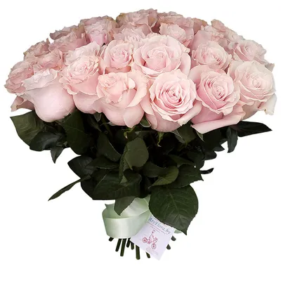 Обои для рабочего стола букет Розы Цветы Сирень вазы книги Белый фон