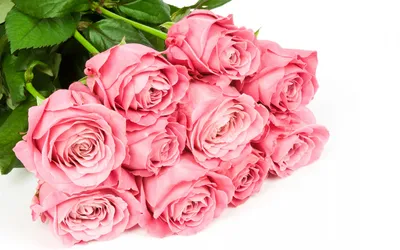 Обои Цветы Розы, обои для рабочего стола, фотографии цветы, розы, букет Обои  для рабочего стола, скачать обои картинки заставки на рабочий стол.