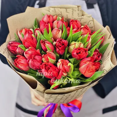 Bouquet of tulips,Букет тюльпанов | Красивые цветы, Цветы, Букет цветов