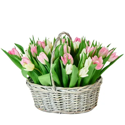 Заказать Букет разноцветных тюльпанов \"Эмили\" в Киеве