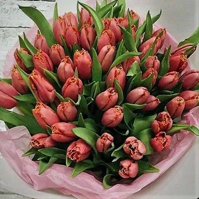 Букет тюльпанов «Элегия» - Красивые цветы в Тамбове