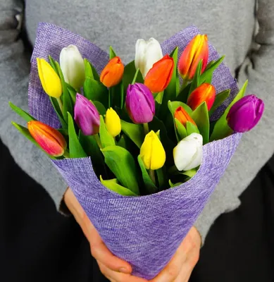 Букет тюльпанов микс Фантазия 🌺 купить в Киеве с доставкой - цена от  Камелия