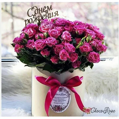 букет цветов и слово «С Днем Рождения тебя» на белом фоне, высокое  разрешение, хризантема, цветок фон картинки и Фото для бесплатной загрузки