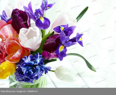 Букет весенних цветов стоковое изображение. изображение насчитывающей  планка - 164989579