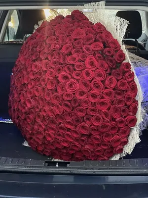 Букет из роз с хлопком - Доставка свежих цветов в Красноярске