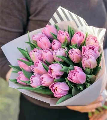 Букет из 13 белых тюльпанов за 2560 ₽ с доставкой по Москве
