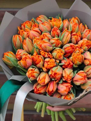 букет из 17 разноцветных тюльпанов Комсомольск-на-Амуре