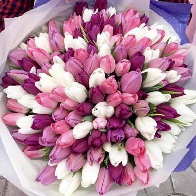 Букет с тюльпанами, альстромериями и танацетумом - купить в Москве по цене  2490 р - Magic Flower