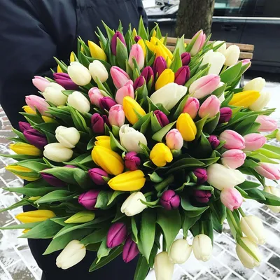 Букет из 5 тюльпанов в матовой пленке – купить с доставкой в Москве