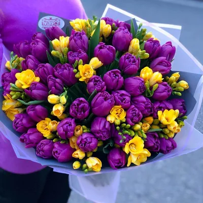 Тюльпаны купить в Минске с доставкой дешево