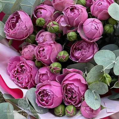 Букет цветов Нежный взгляд - купить по цене 10115 ₽ с доставкой,  Санкт-Петербург