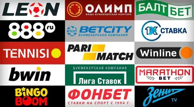 Букмекерских контор