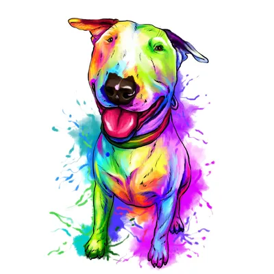 Картины для интерьера 40х60 Собака Смешная Бультерьер - купить по низкой  цене в интернет-магазине OZON (960716849)