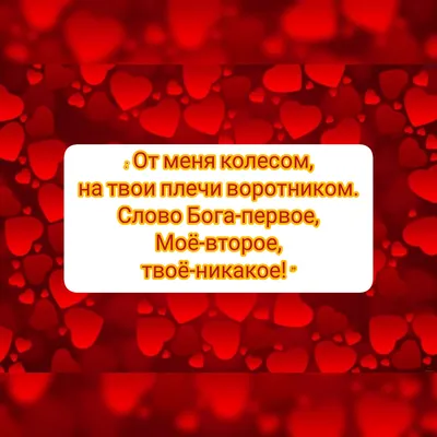 Жизнь – бумеранг. К тому и ведётся: что отдаёте, то и вернётся. То, что  посеешь – то и пожнёшь, ложью пробьётся ваша же... - Лента новостей ДНР