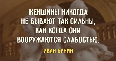 CEO «Яндекса» в России Елена Бунина: «Мы можем закрыть глаза на некоторые  человеческие качества, когда находим звезду» - Inc. Russia